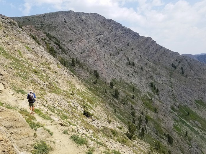 Fotor_153395631531548