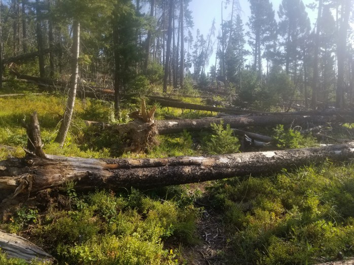 Fotor_153395675506610