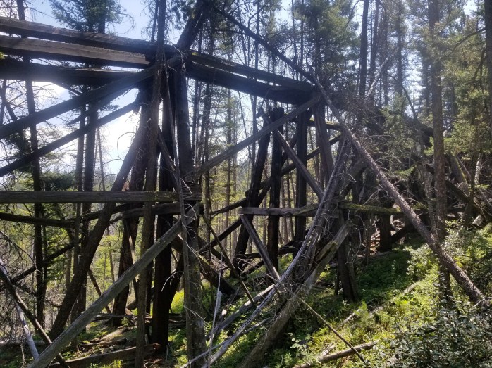 Fotor_153395684788690