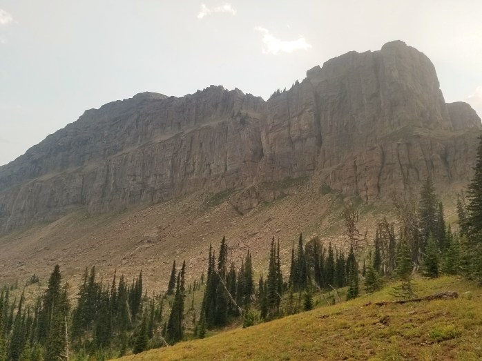 Fotor_153479237318057