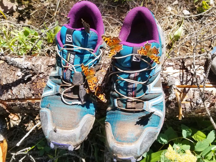 Fotor_153479288868260