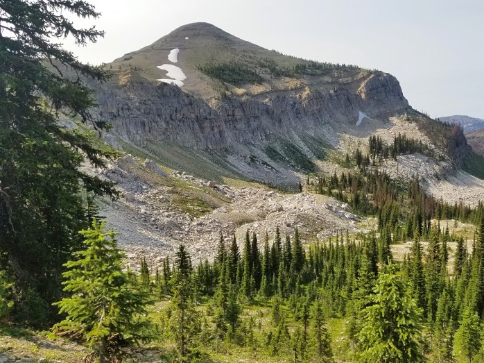 Fotor_15347929510175