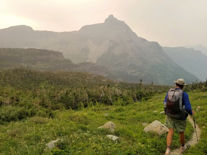 Fotor_153479430246220