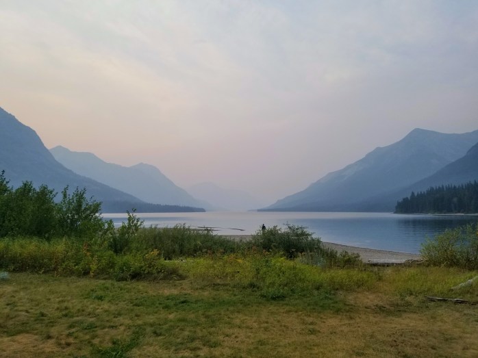 Fotor_153479537071785