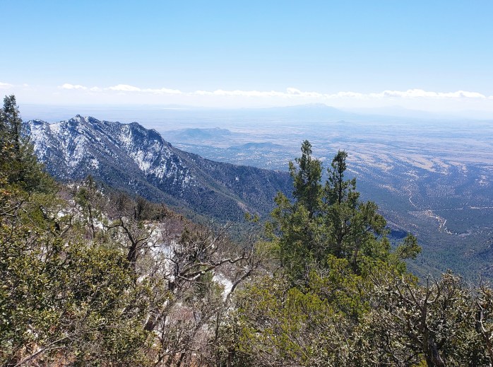 Fotor_155310843009661