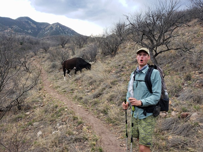 Fotor_155310870280967