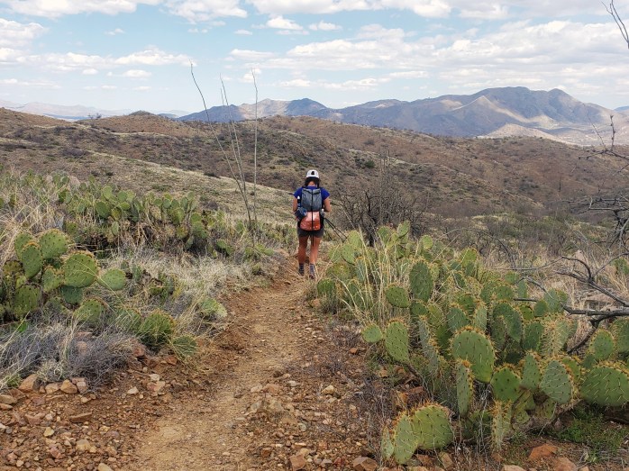 Fotor_15531092296321