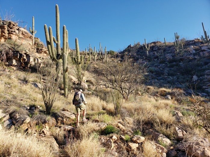 Fotor_155339874134714