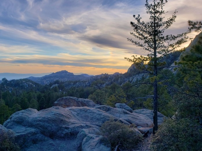 Fotor_155339893567882