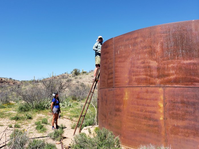 Fotor_155380235397254