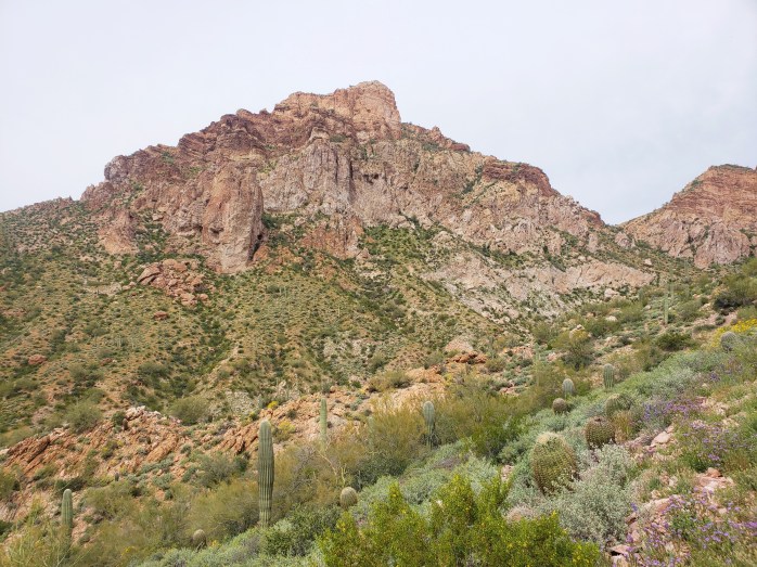 Fotor_155380253796318