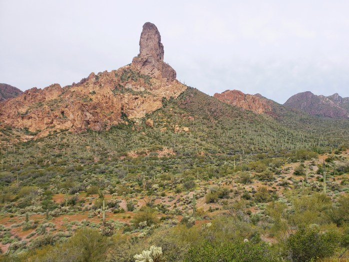 Fotor_155380257698352