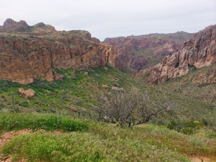 Fotor_155380263071281