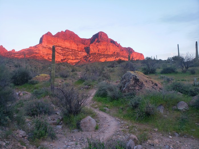 Fotor_155380270316870