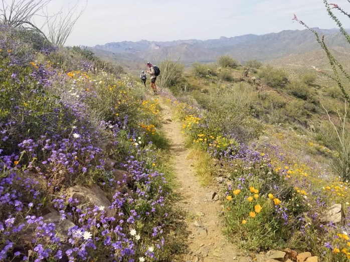 Fotor_155380284479793