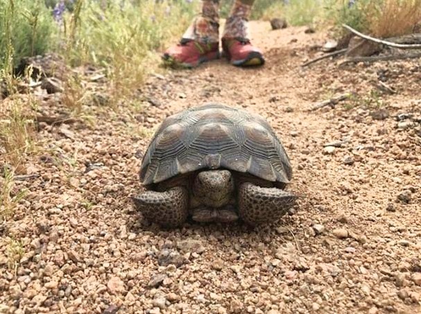 Fotor_155380295872837