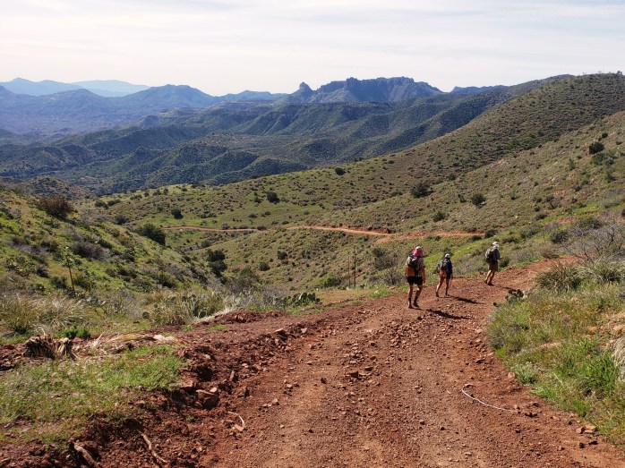 Fotor_155473812981859