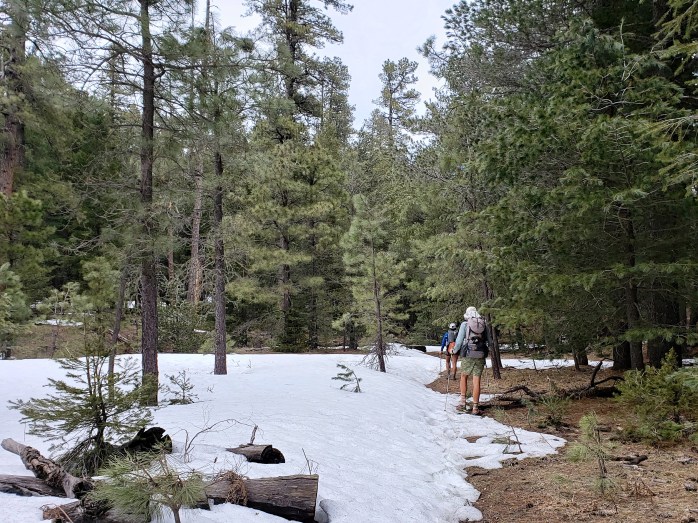 Fotor_155474480569536