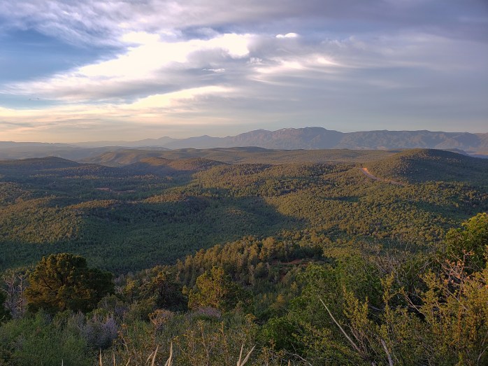 Fotor_155474500381834