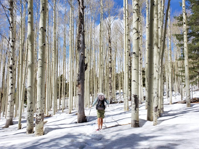 Fotor_155546784233317