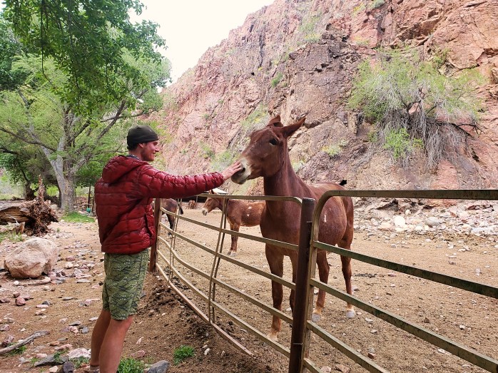 Fotor_155546882180429