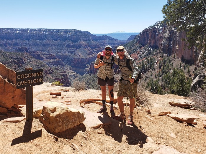 Fotor_155604916811582