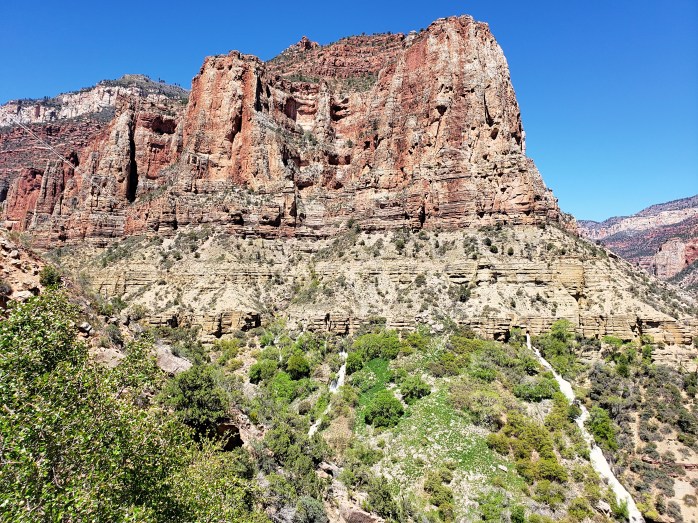 Fotor_155605342275822