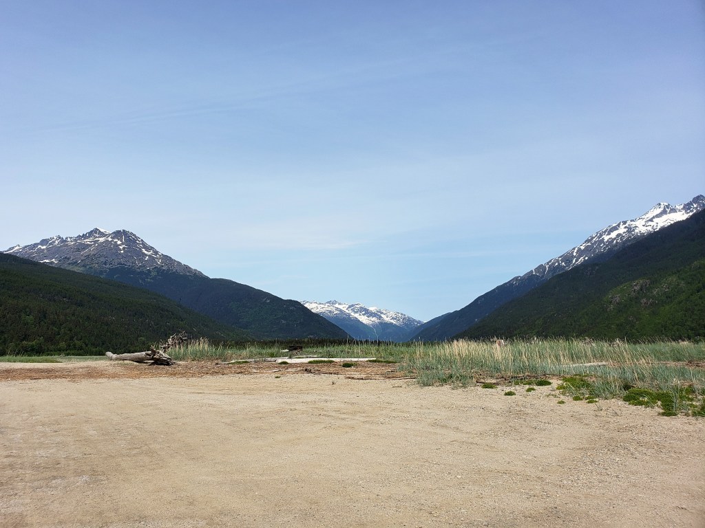 Fotor_156027068340336