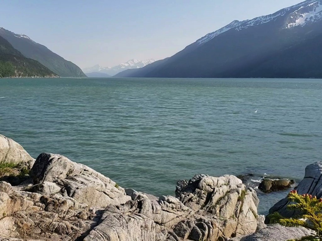 Fotor_156027077513766