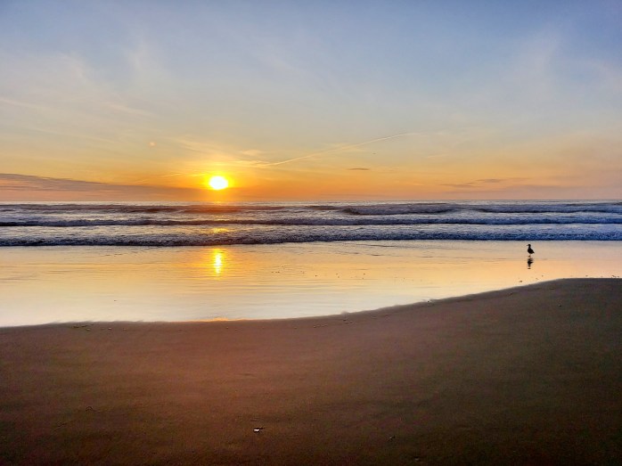 Fotor_15705515190231